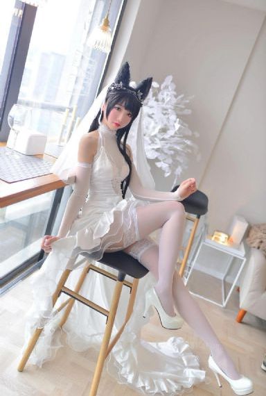 礼仪老师在线观看_影视大全视频