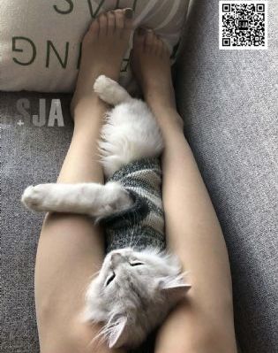 蜜桃网站入口_BD韩语在线视频播放