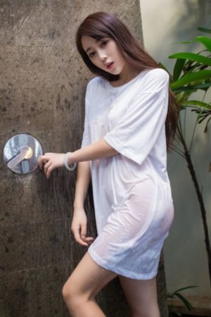 秦岭神树动漫版免费看_完整版在线观看