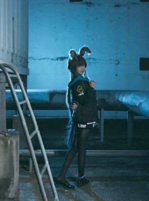与凤行正版电视剧免费观看完整版_1080P高清迅雷在线观看